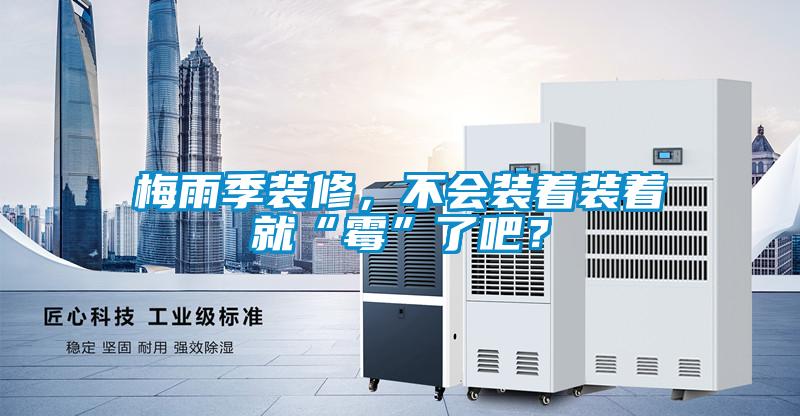 梅雨季裝修，不會裝著裝著就“霉”了吧？