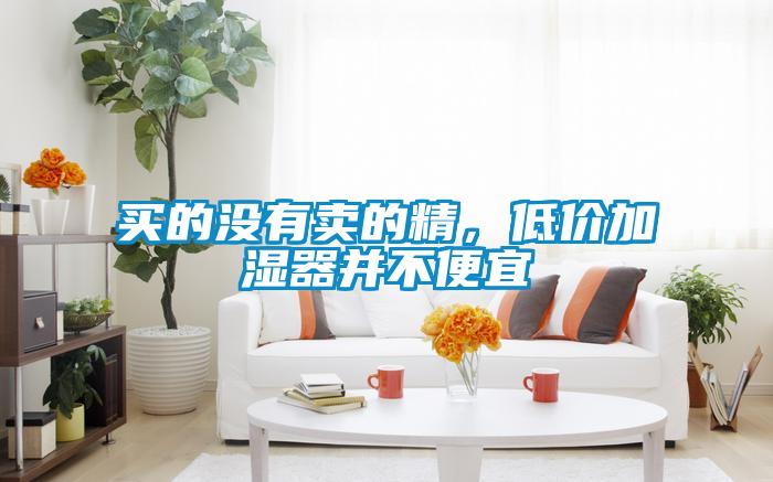 買的沒有賣的精，低價加濕器并不便宜
