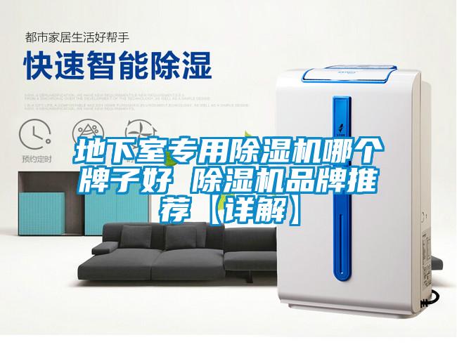 地下室專用除濕機哪個牌子好 除濕機品牌推薦【詳解】