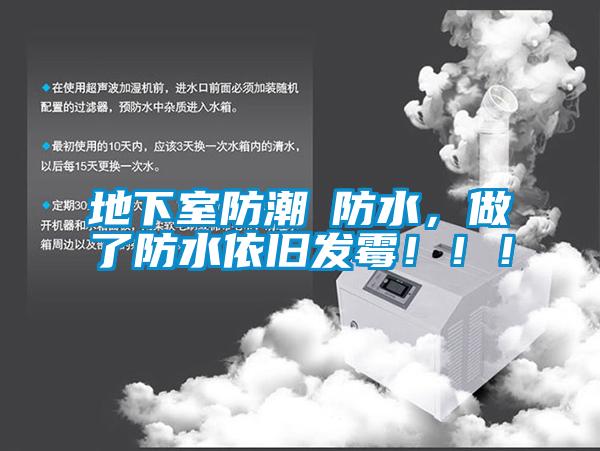 地下室防潮≠防水，做了防水依舊發霉！??！