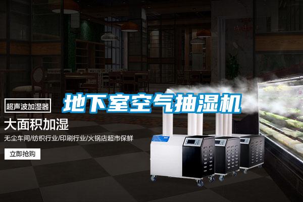 地下室空氣抽濕機