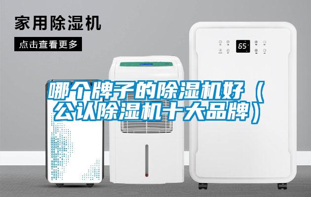 哪個(gè)牌子的除濕機(jī)好（公認(rèn)除濕機(jī)十大品牌）