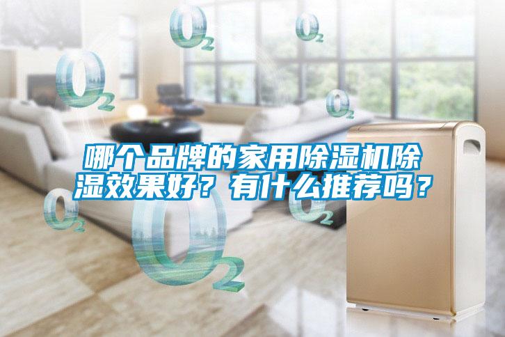 哪個(gè)品牌的家用除濕機(jī)除濕效果好？有什么推薦嗎？