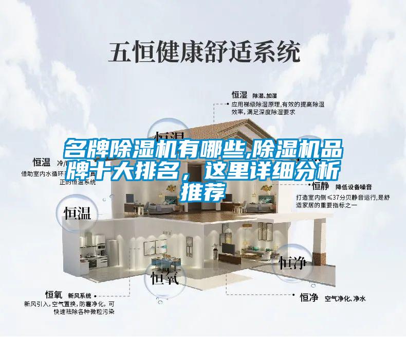 名牌除濕機有哪些,除濕機品牌十大排名，這里詳細分析推薦