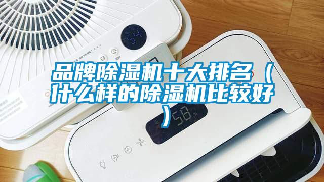 品牌除濕機(jī)十大排名（什么樣的除濕機(jī)比較好）
