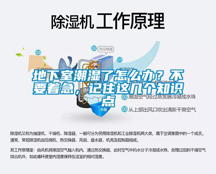 地下室潮濕了怎么辦？不要著急，記住這幾個知識點