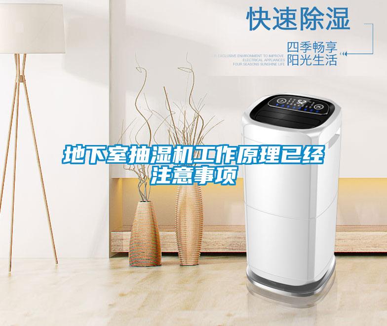 地下室抽濕機(jī)工作原理已經(jīng)注意事項(xiàng)