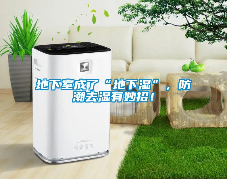 地下室成了“地下濕”，防潮去濕有妙招！