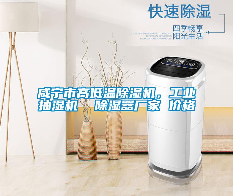 咸寧市高低溫除濕機(jī)，工業(yè)抽濕機(jī)  除濕器廠家 價(jià)格
