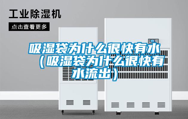 吸濕袋為什么很快有水（吸濕袋為什么很快有水流出）