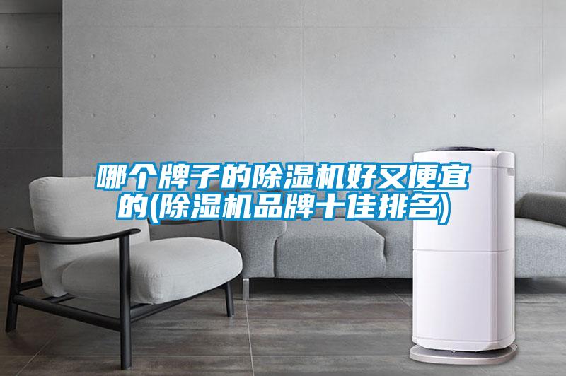 哪個(gè)牌子的除濕機(jī)好又便宜的(除濕機(jī)品牌十佳排名)