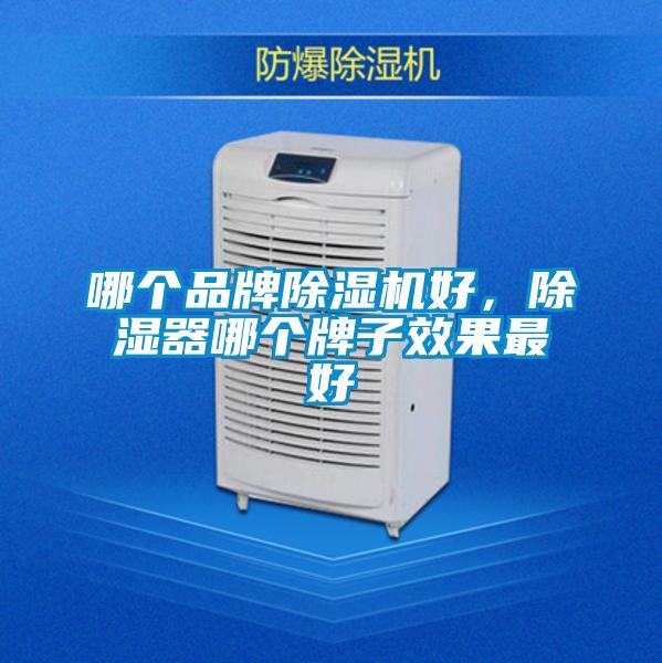 哪個(gè)品牌除濕機(jī)好，除濕器哪個(gè)牌子效果最好
