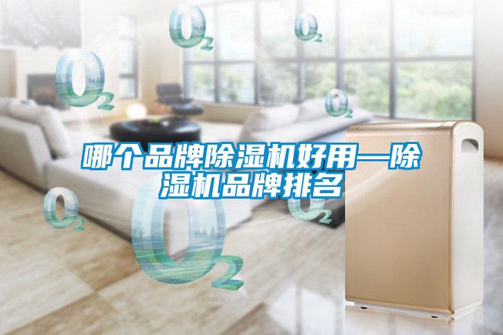 哪個(gè)品牌除濕機(jī)好用—除濕機(jī)品牌排名
