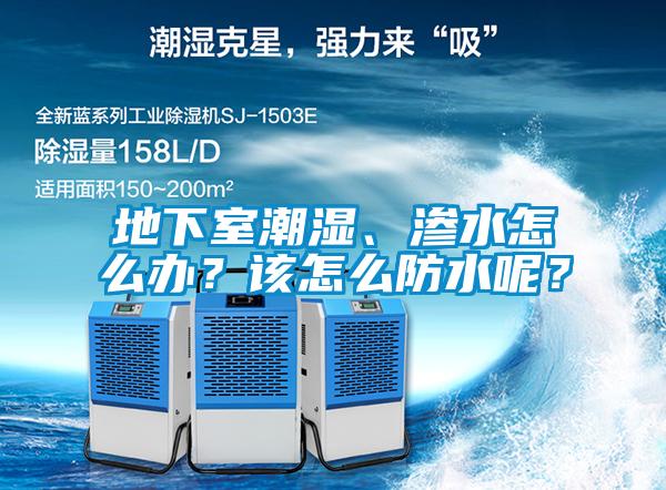 地下室潮濕、滲水怎么辦？該怎么防水呢？