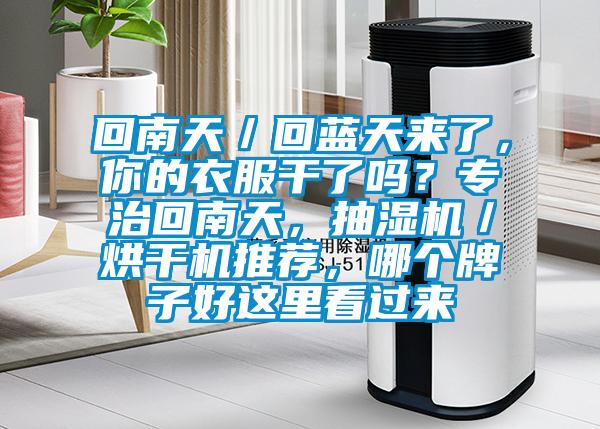回南天／回藍天來了，你的衣服干了嗎？專治回南天，抽濕機／烘干機推薦，哪個牌子好這里看過來