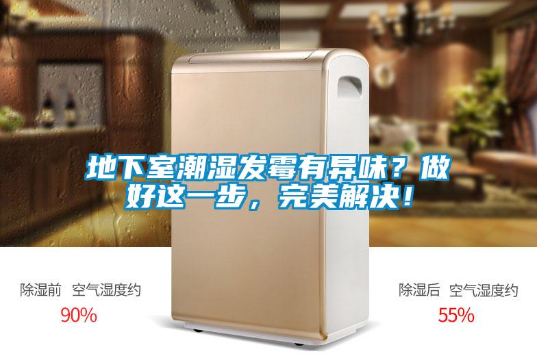地下室潮濕發霉有異味？做好這一步，完美解決！