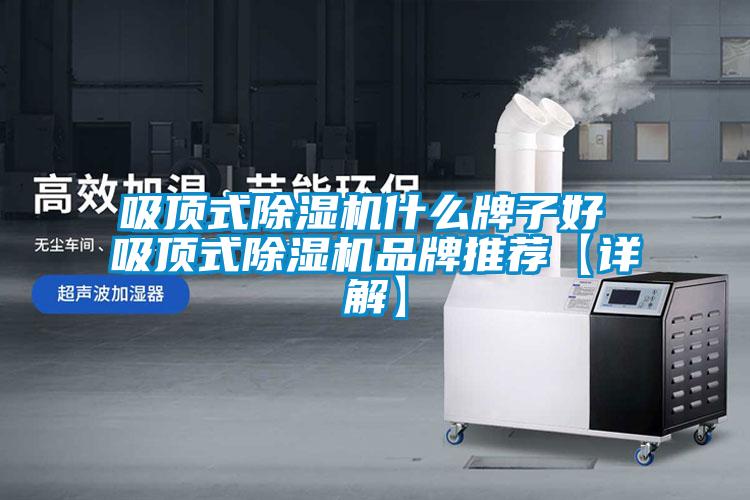 吸頂式除濕機什么牌子好 吸頂式除濕機品牌推薦【詳解】