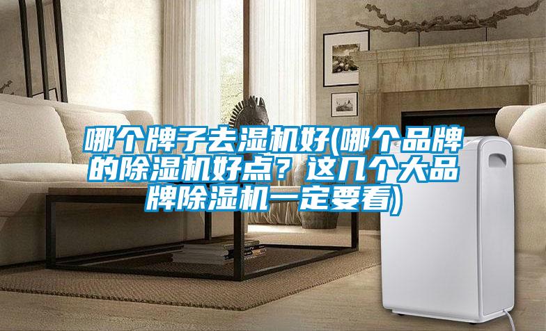 哪個(gè)牌子去濕機(jī)好(哪個(gè)品牌的除濕機(jī)好點(diǎn)？這幾個(gè)大品牌除濕機(jī)一定要看)