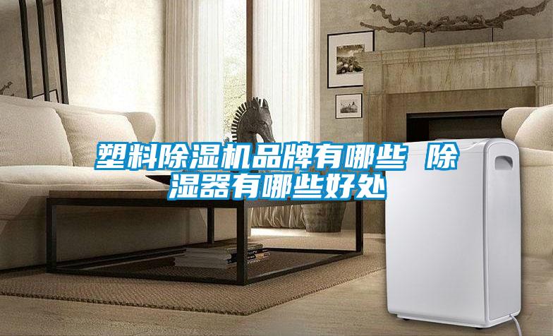 塑料除濕機品牌有哪些 除濕器有哪些好處