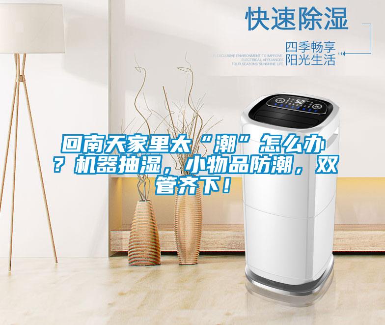 回南天家里太“潮”怎么辦？機器抽濕，小物品防潮，雙管齊下！