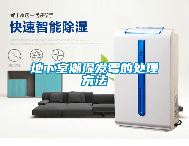 地下室潮濕發霉的處理方法