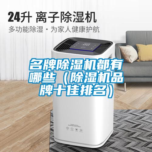 名牌除濕機都有哪些（除濕機品牌十佳排名）