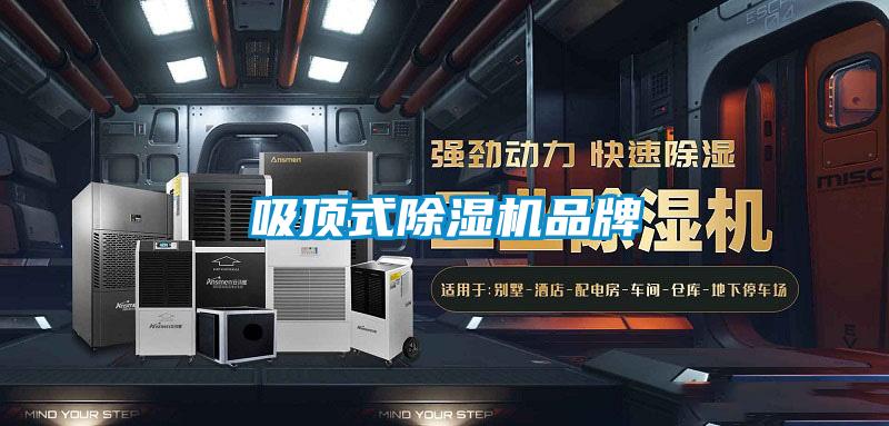 吸頂式除濕機品牌