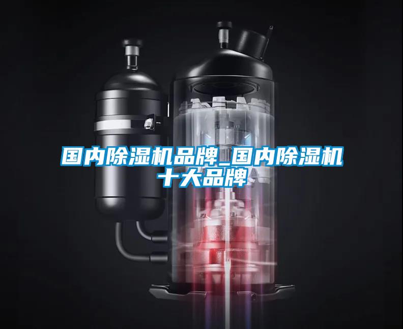 國內除濕機品牌_國內除濕機十大品牌