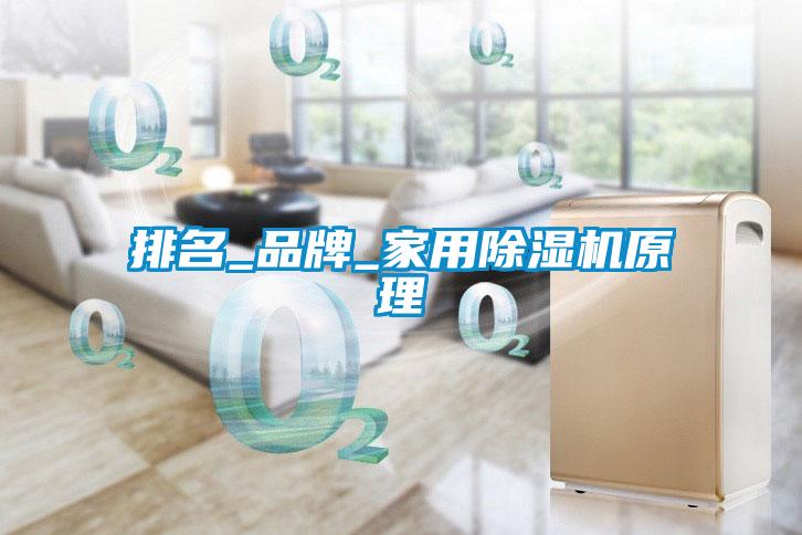 排名_品牌_家用除濕機原理