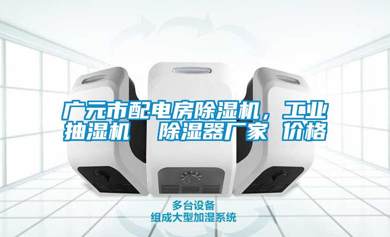 廣元市配電房除濕機，工業抽濕機  除濕器廠家 價格