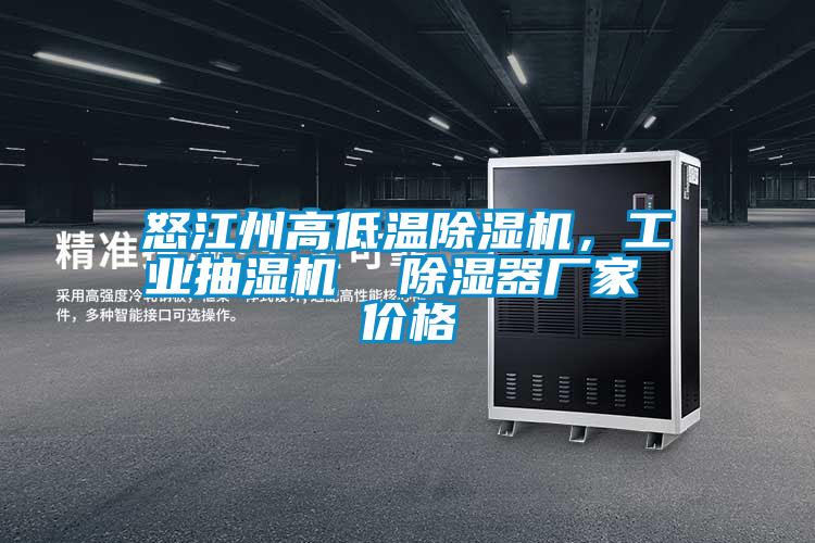 怒江州高低溫除濕機，工業(yè)抽濕機  除濕器廠家 價格
