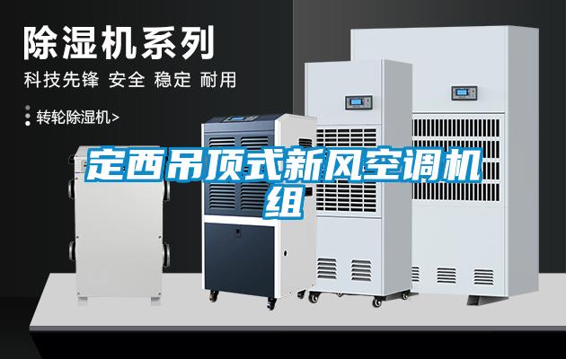 定西吊頂式新風空調機組