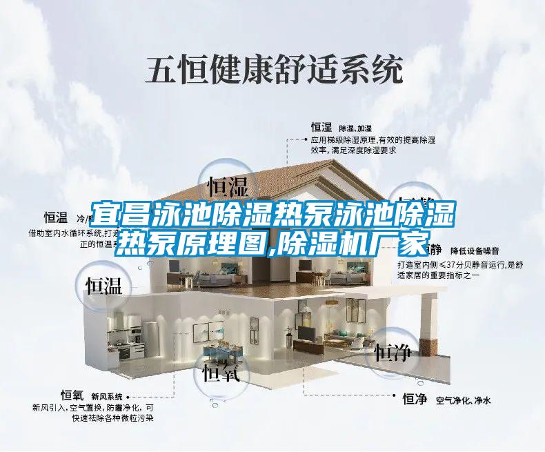 宜昌泳池除濕熱泵泳池除濕熱泵原理圖,除濕機廠家