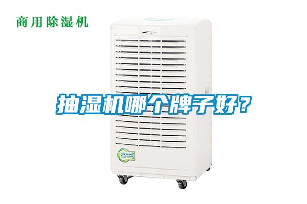 抽濕機哪個牌子好？