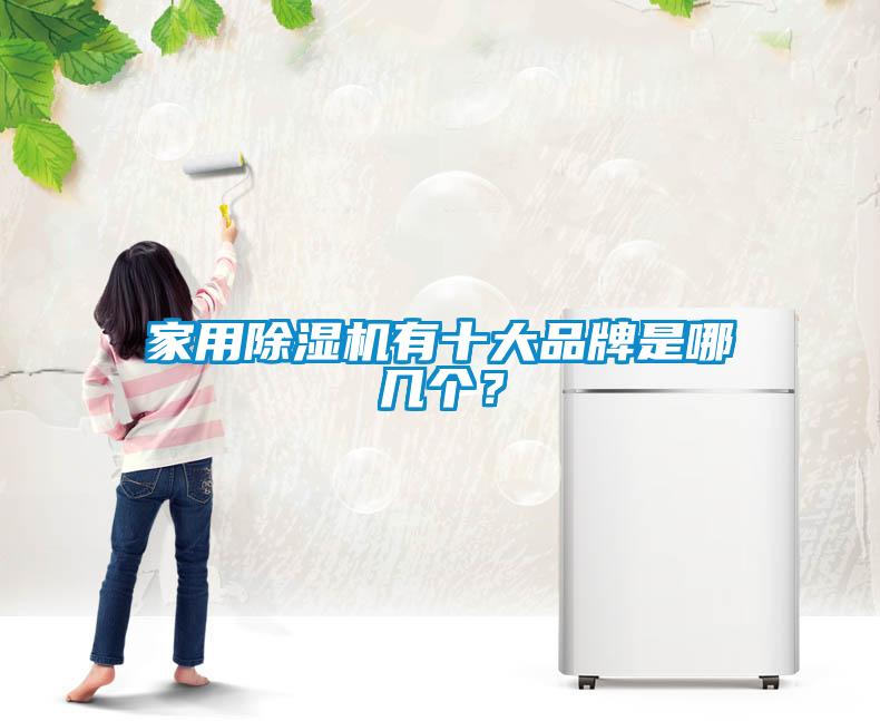 家用除濕機有十大品牌是哪幾個？