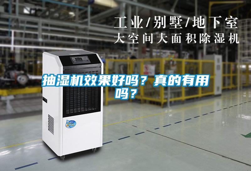 抽濕機效果好嗎？真的有用嗎？
