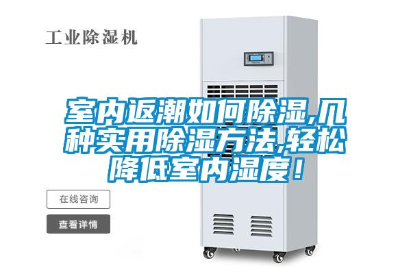 室內返潮如何除濕,幾種實用除濕方法,輕松降低室內濕度！