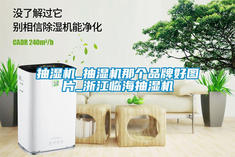 抽濕機_抽濕機那個品牌好圖片_浙江臨海抽濕機