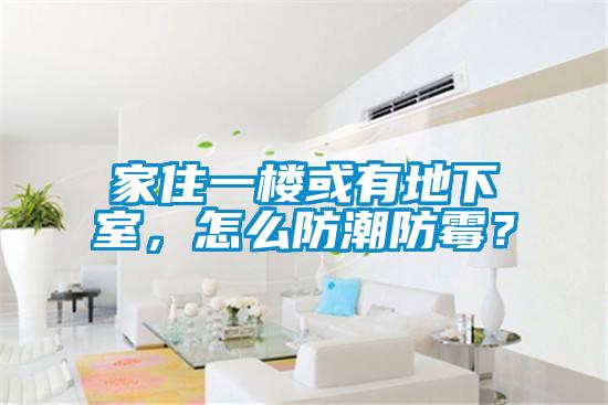 家住一樓或有地下室，怎么防潮防霉？