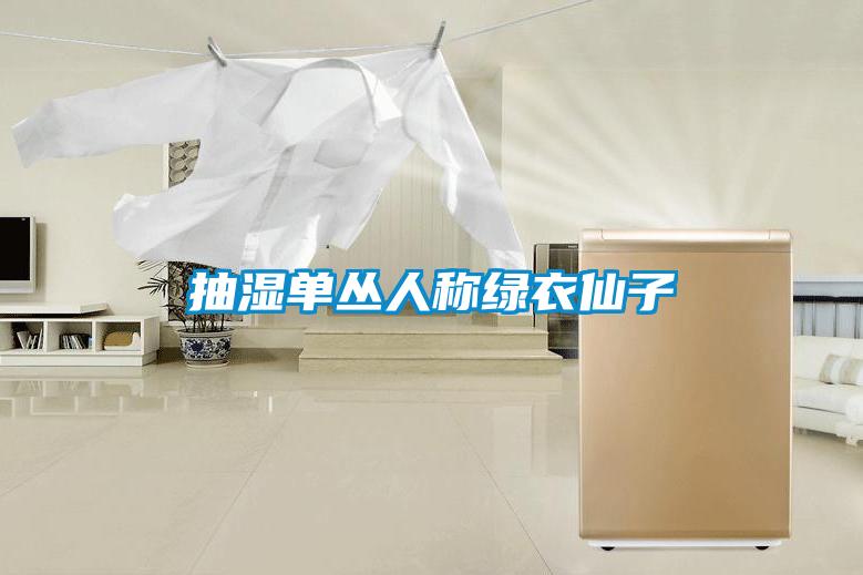 抽濕單叢人稱綠衣仙子