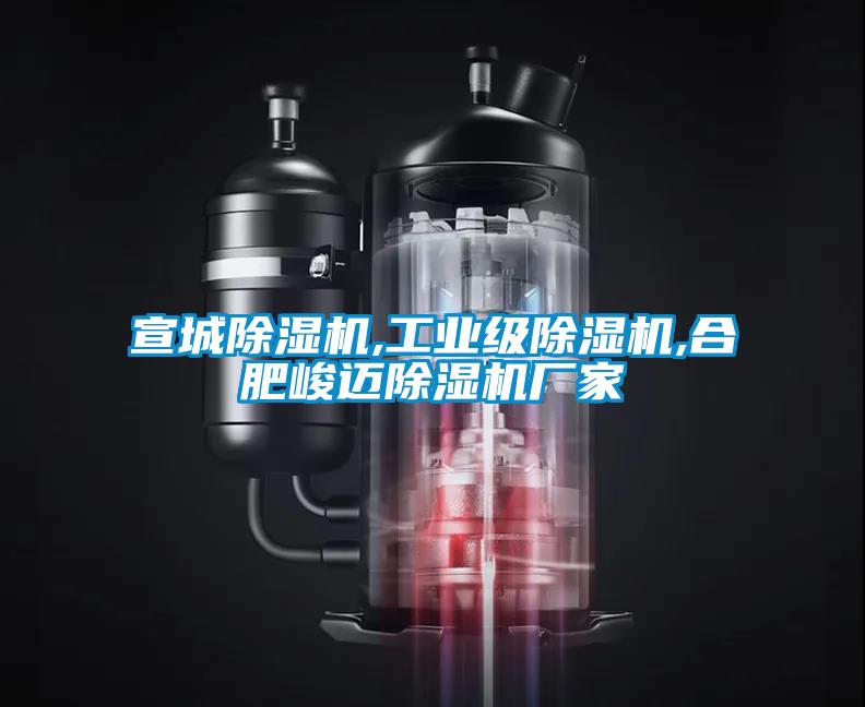 宣城除濕機,工業級除濕機,合肥峻邁除濕機廠家