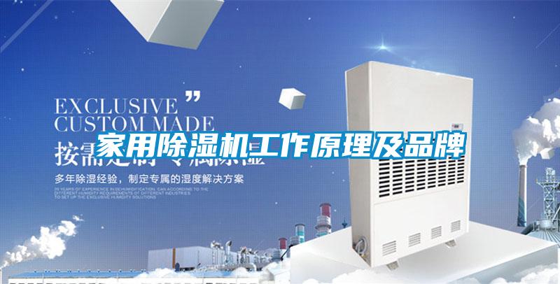 家用除濕機工作原理及品牌