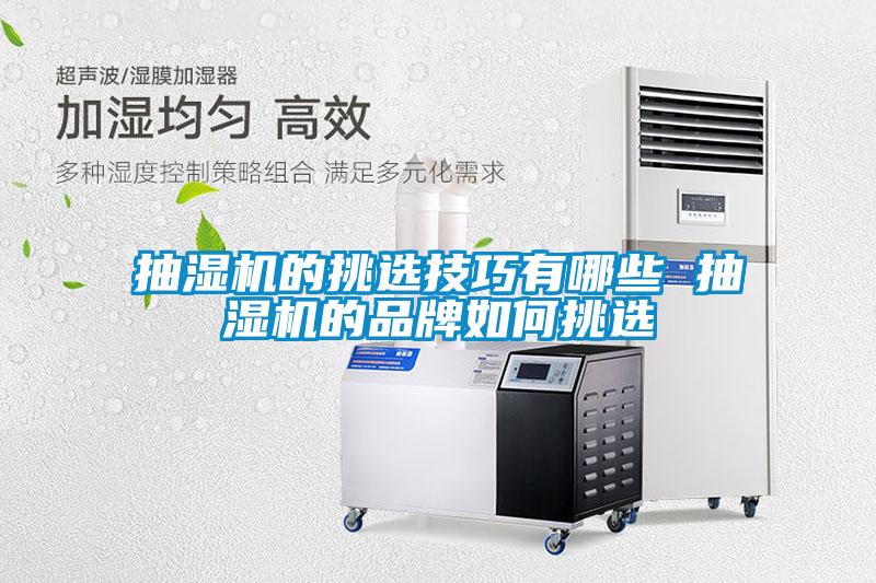 抽濕機的挑選技巧有哪些 抽濕機的品牌如何挑選