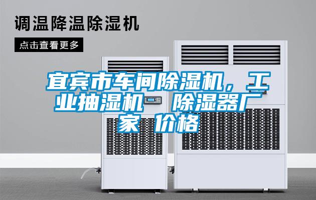 宜賓市車間除濕機，工業抽濕機  除濕器廠家 價格