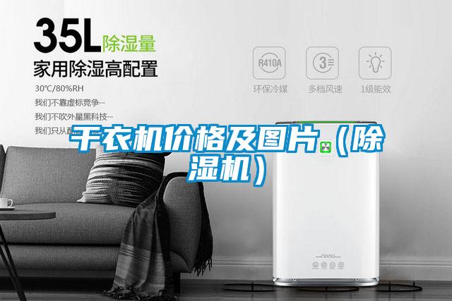 干衣機價格及圖片（除濕機）