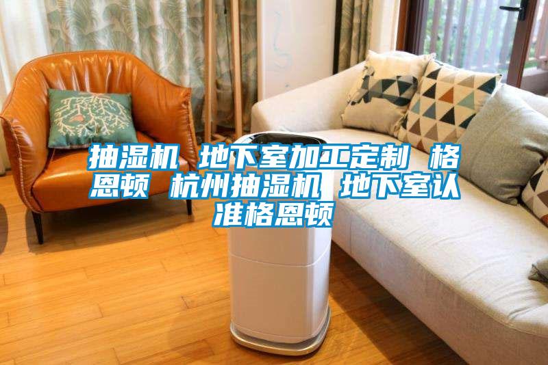 抽濕機 地下室加工定制 格恩頓 杭州抽濕機 地下室認準格恩頓