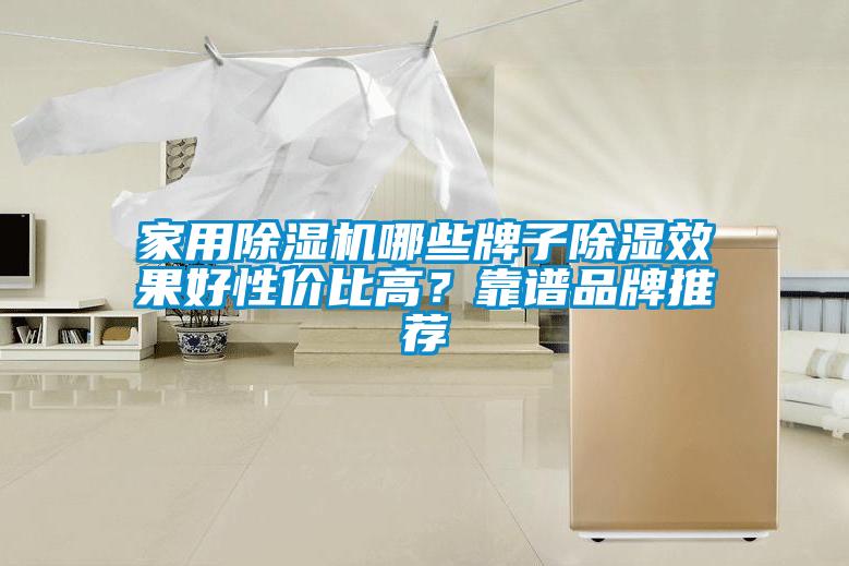 家用除濕機哪些牌子除濕效果好性價比高？靠譜品牌推薦