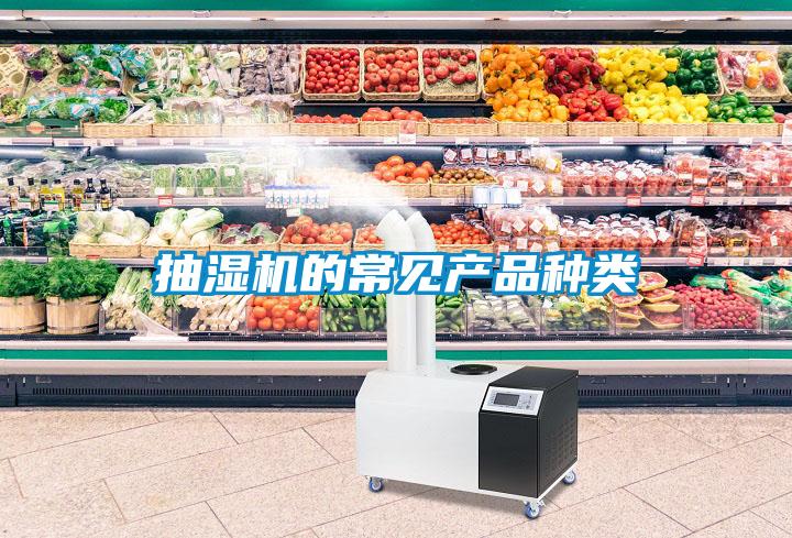 抽濕機的常見產品種類