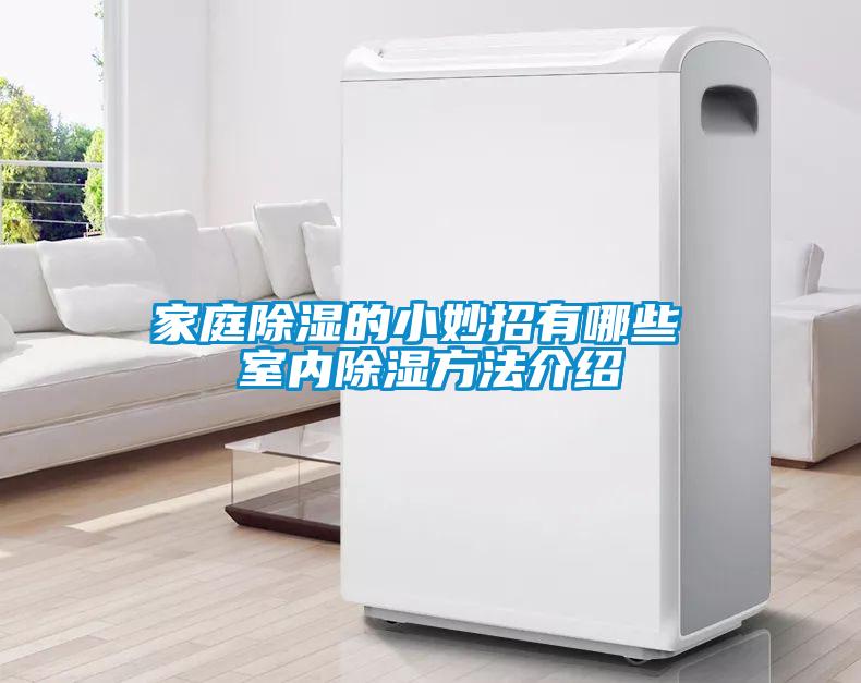 家庭除濕的小妙招有哪些 室內除濕方法介紹
