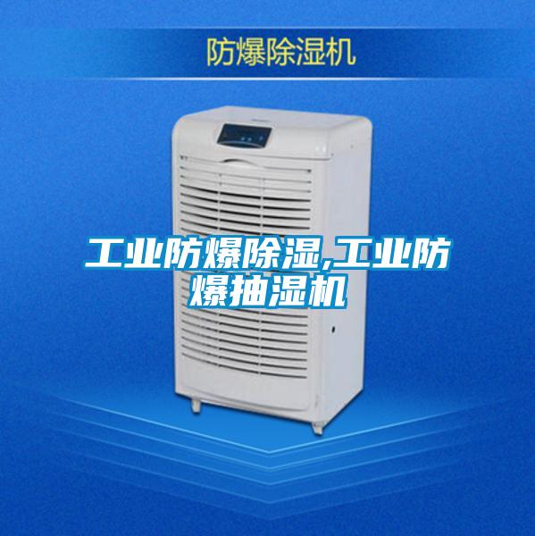 工業(yè)防爆除濕,工業(yè)防爆抽濕機